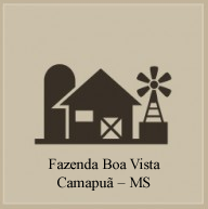 Fazenda Boa Vista.fw