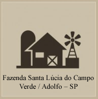 Fazenda Santa Lúcia do Campo Verde.fw